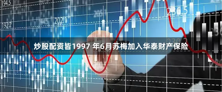 炒股配资皆1997 年6月苏梅加入华泰财产保险