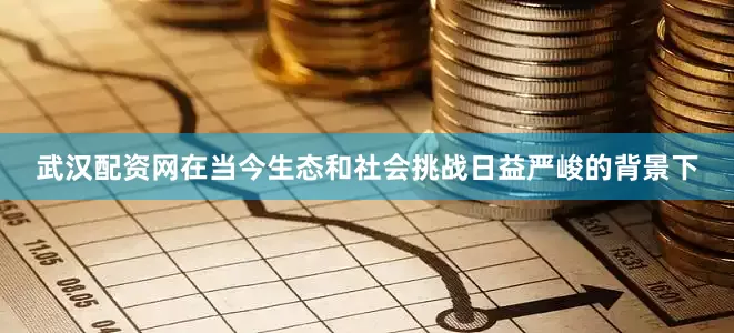 武汉配资网在当今生态和社会挑战日益严峻的背景下