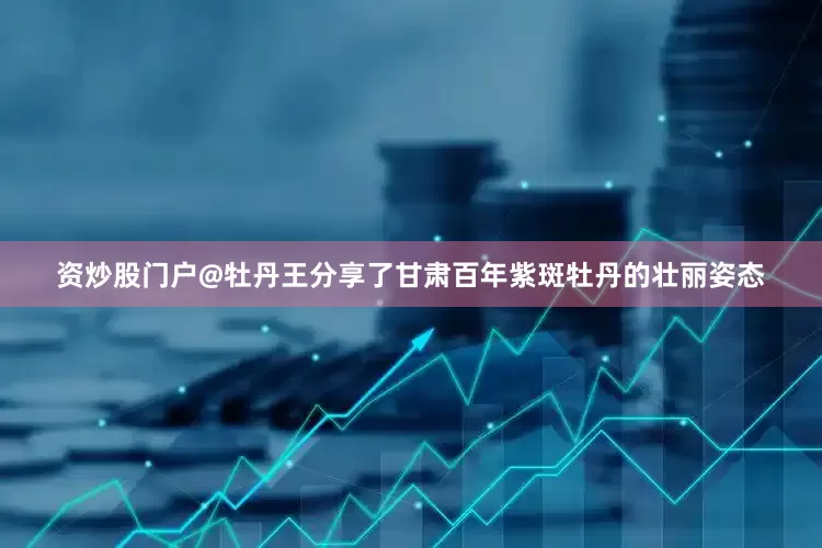 资炒股门户@牡丹王分享了甘肃百年紫斑牡丹的壮丽姿态
