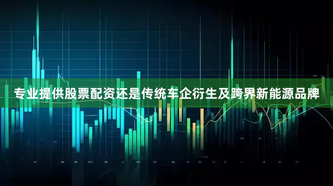 专业提供股票配资还是传统车企衍生及跨界新能源品牌
